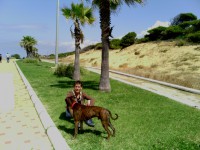 /album/fotogaleria/movil-131-jpg/